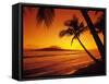 Tropical Sunset on the Island of Maui, Hawaii, USA-Jerry Ginsberg-Framed Stretched Canvas