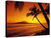 Tropical Sunset on the Island of Maui, Hawaii, USA-Jerry Ginsberg-Stretched Canvas