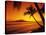 Tropical Sunset on the Island of Maui, Hawaii, USA-Jerry Ginsberg-Stretched Canvas