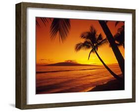 Tropical Sunset on the Island of Maui, Hawaii, USA-Jerry Ginsberg-Framed Premium Photographic Print