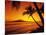 Tropical Sunset on the Island of Maui, Hawaii, USA-Jerry Ginsberg-Mounted Photographic Print