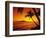 Tropical Sunset on the Island of Maui, Hawaii, USA-Jerry Ginsberg-Framed Photographic Print