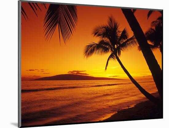 Tropical Sunset on the Island of Maui, Hawaii, USA-Jerry Ginsberg-Mounted Photographic Print