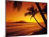 Tropical Sunset on the Island of Maui, Hawaii, USA-Jerry Ginsberg-Mounted Photographic Print
