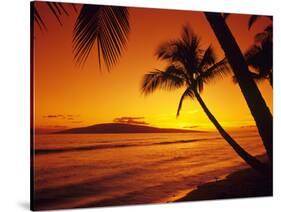 Tropical Sunset on the Island of Maui, Hawaii, USA-Jerry Ginsberg-Stretched Canvas