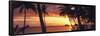 Tropical Sunset Panorama Art Print Poster-null-Framed Poster