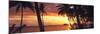 Tropical Sunset Panorama Art Print Poster-null-Mounted Poster
