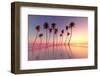 Tropical Sunset Pink-lekcej-Framed Photographic Print