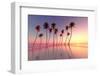 Tropical Sunset Pink-lekcej-Framed Photographic Print