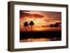 Tropical Sunset with Palm Trees-Paul Brady-Framed Photographic Print