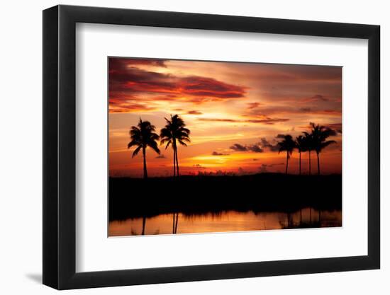 Tropical Sunset with Palm Trees-Paul Brady-Framed Photographic Print