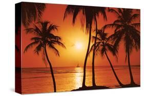 Tropical Sunset-null-Stretched Canvas