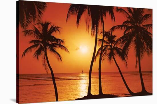 Tropical Sunset-null-Stretched Canvas