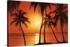 Tropical Sunset-null-Stretched Canvas