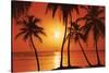 Tropical Sunset-null-Stretched Canvas