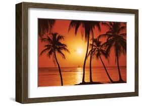 Tropical Sunset-null-Framed Art Print