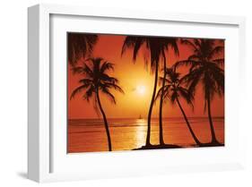 Tropical Sunset-null-Framed Art Print