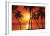 Tropical Sunset-null-Framed Art Print