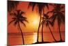 Tropical Sunset-null-Mounted Art Print