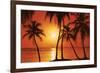 Tropical Sunset-null-Framed Art Print