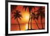 Tropical Sunset-null-Framed Art Print