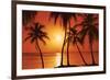 Tropical Sunset-null-Framed Art Print