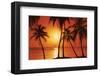 Tropical Sunset-null-Framed Art Print