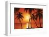 Tropical Sunset-null-Framed Art Print