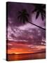 Tropical Sunset-Michele Westmorland-Stretched Canvas