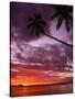 Tropical Sunset-Michele Westmorland-Stretched Canvas