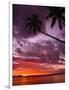 Tropical Sunset-Michele Westmorland-Framed Photographic Print
