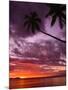 Tropical Sunset-Michele Westmorland-Mounted Photographic Print