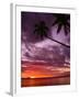 Tropical Sunset-Michele Westmorland-Framed Photographic Print