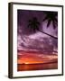 Tropical Sunset-Michele Westmorland-Framed Photographic Print
