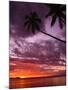 Tropical Sunset-Michele Westmorland-Mounted Photographic Print