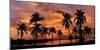 Tropical Sunsets I-Mike Jones-Mounted Giclee Print