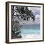 Tropical Surf-Mark Goodall-Framed Art Print