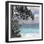 Tropical Surf-Mark Goodall-Framed Art Print