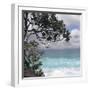 Tropical Surf-Mark Goodall-Framed Art Print