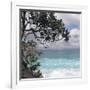 Tropical Surf-Mark Goodall-Framed Art Print