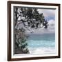 Tropical Surf-Mark Goodall-Framed Art Print