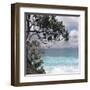 Tropical Surf-Mark Goodall-Framed Art Print