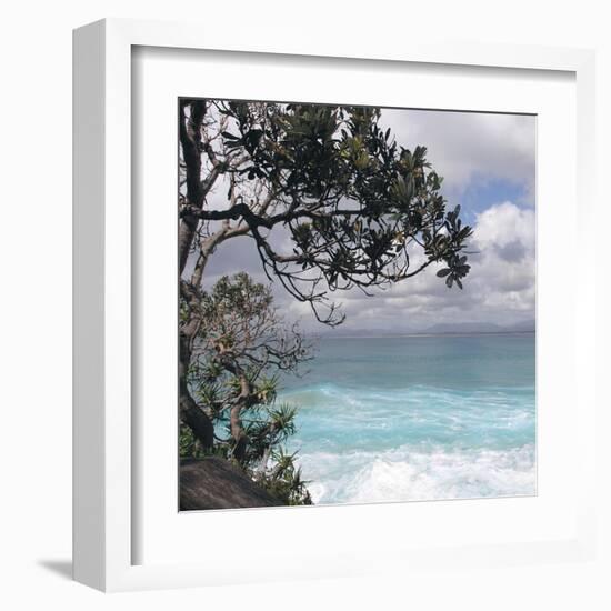 Tropical Surf-Mark Goodall-Framed Art Print