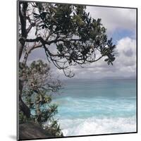 Tropical Surf-Mark Goodall-Mounted Art Print