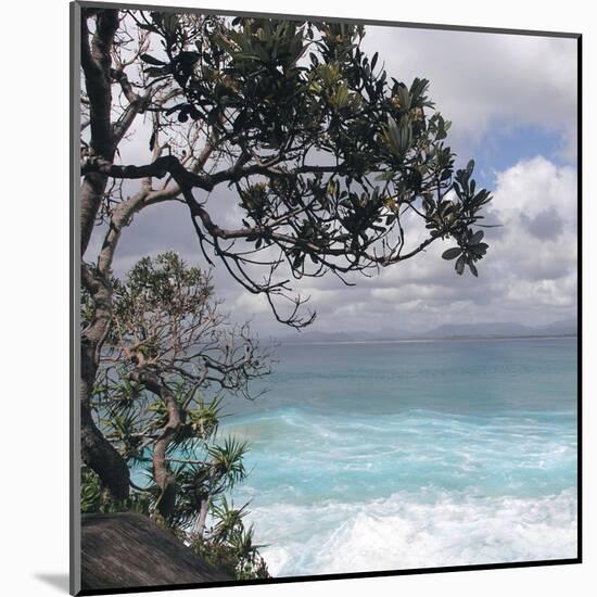 Tropical Surf-Mark Goodall-Mounted Art Print