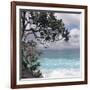 Tropical Surf-Mark Goodall-Framed Premium Giclee Print