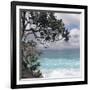 Tropical Surf-Mark Goodall-Framed Premium Giclee Print