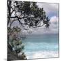 Tropical Surf-Mark Goodall-Mounted Premium Giclee Print