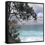 Tropical Surf-Mark Goodall-Framed Stretched Canvas