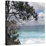 Tropical Surf-Mark Goodall-Stretched Canvas